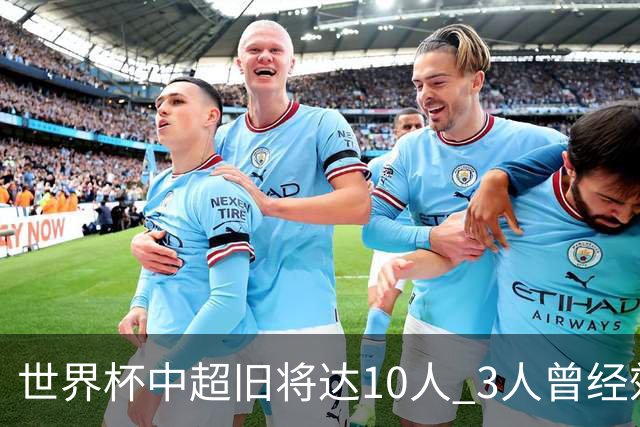 世界杯中超旧将达10人 3人曾经效力国安海港两将