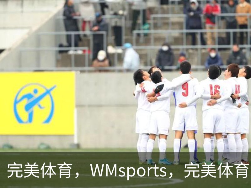 了解完美体育，WMsports，完美体育官方，完美体育平台，完美体育下载